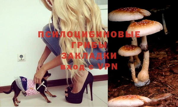 таблы Зеленокумск