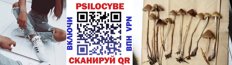 Купить  Кольчугино  Псилоцибиновые грибы прущие грибы 